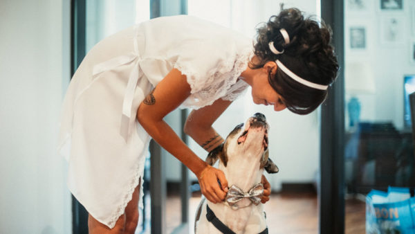 Bride kiss a dog with bowtie